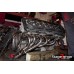 Випускний колектор BMW E36/E34/E39/E30 M50/M52/M54 SCHMIEDMANN